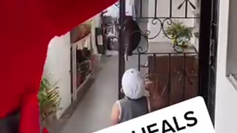 Santa surprises singaporeans