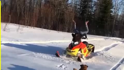 Funniest Winter Fails