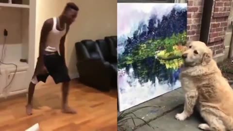 The puppy loves art.