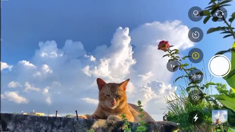 It's been a long time since summer