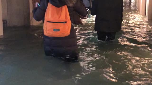 Jaw-dropping footage shows tourists walking through flooded Venice