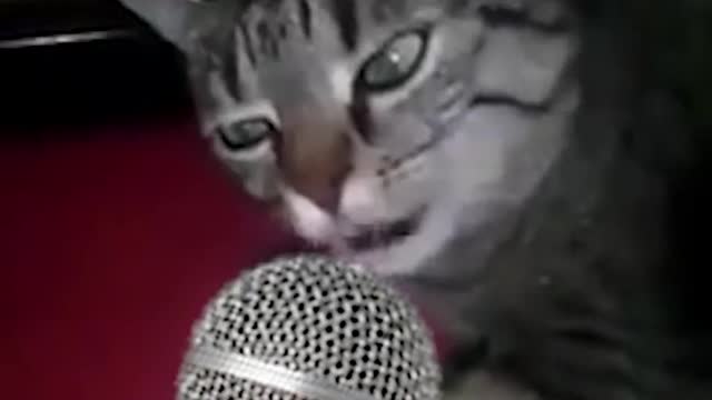 do you have something to say