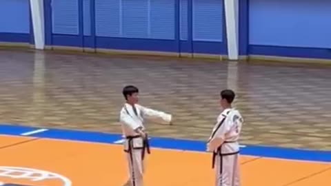 ITF Taekwondo