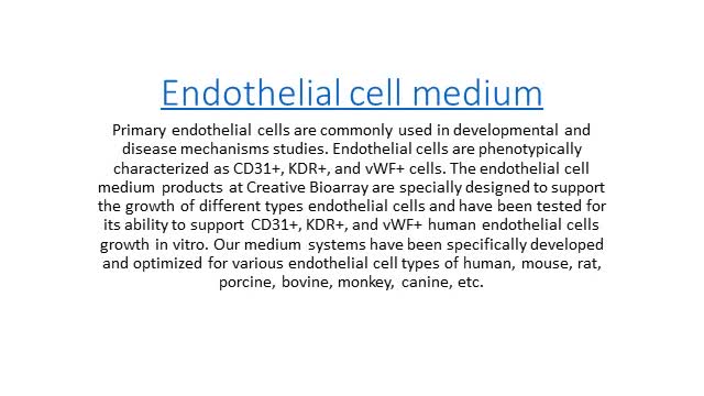 endothelial cell medium