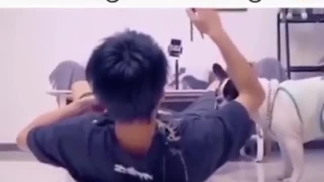 this dog is savage! did he did it on porpouse?