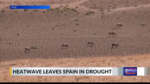 Drone footage in Spain heat severity