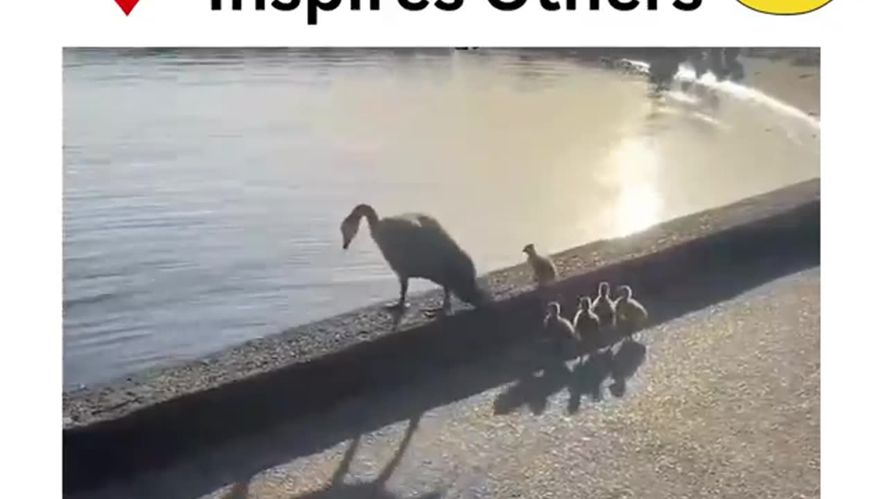 Your Courage Inspires Other #shorts #shortsvideo #video #viral