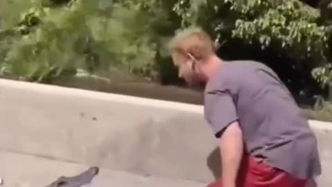 Gator FAFO