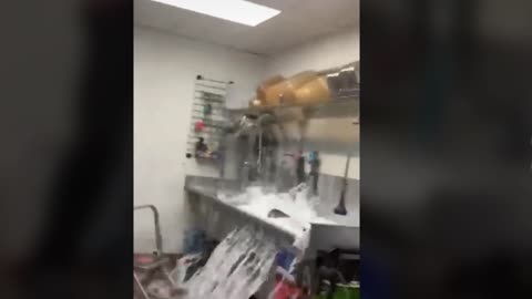 taco bell worker jump into sink