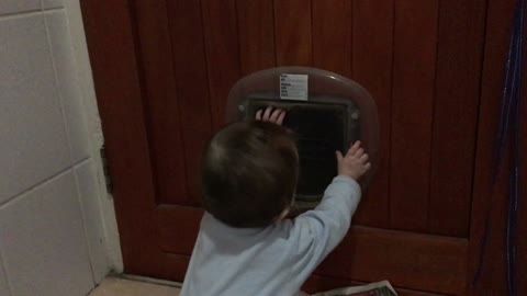 Baby and cat play beautifully