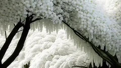Nature of 2023