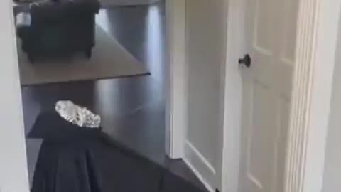 Door prank😁😁🤣