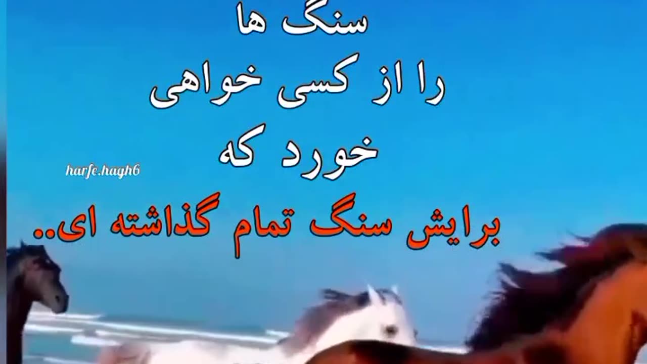 ####یادت باشه همیشه دردناکترین سنگها را از کسی خواهی خورد که برایش سنگ تمام گذاشته ای###