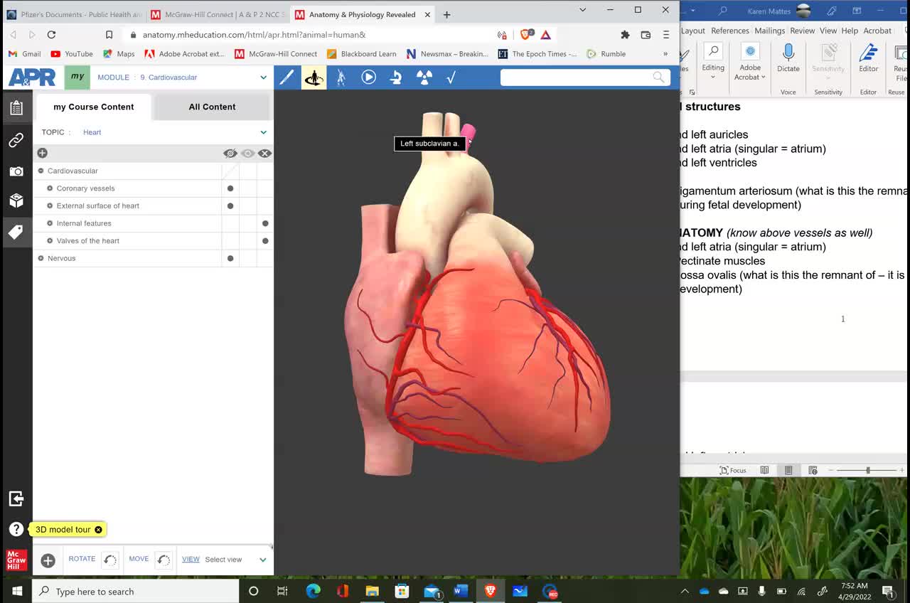 AP2 - How to use Anatomy and Phys Revealed