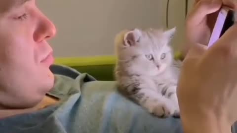 Cute Little cat want to use smartphone