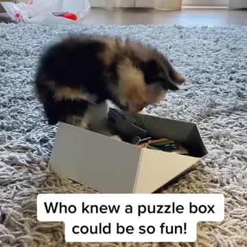Litsa meets a puzzle box