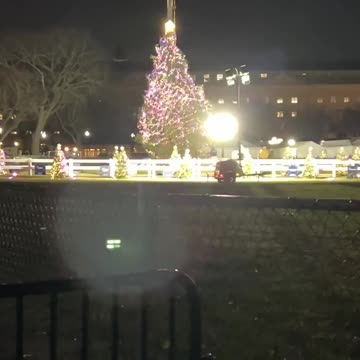 Biden Admin Tries Its Hardest To Keep The White House Christmas Tree From Falling Over