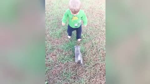 Cats & Babies Funny Compilation