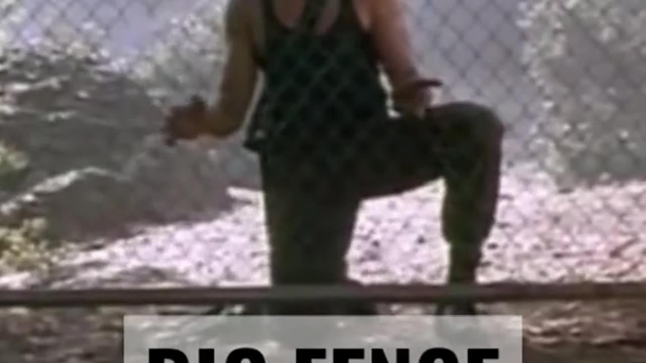 Big Fence / HOT SHOTS 2
