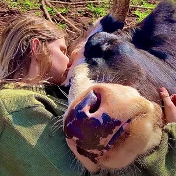 Animals teach us lessons...