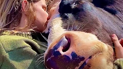 Animals teach us lessons...