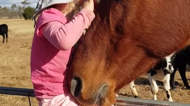 The girl sings to the horses