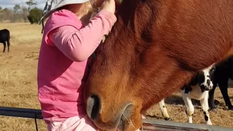 The girl sings to the horses