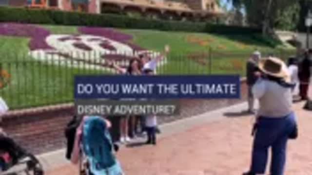 The Ultimate Disney Adventure