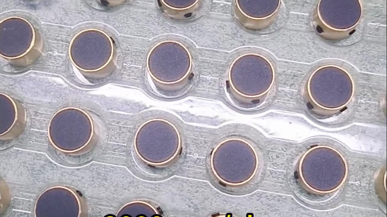 absolute optical encoder #servoencoder #hollowshaftencoder #incrementalencoder #rotaryencoder