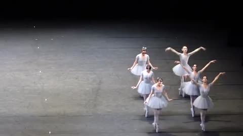 Vienna State Opera, funny ballet. Слава Украине!