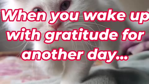 When you wake up with gratitude for another day...