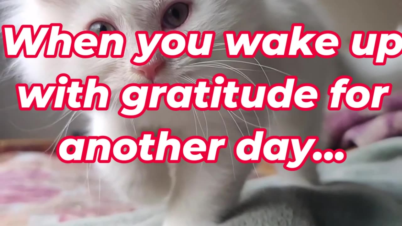 When you wake up with gratitude for another day...