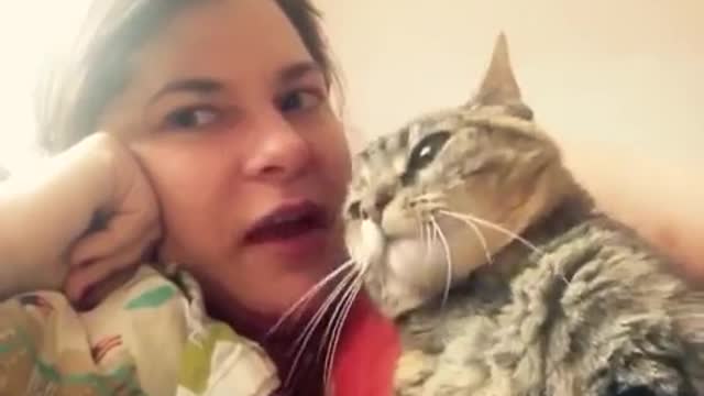 OMG Super Cute Cat TALKS like a Human ♡ She says NO to head kisses!