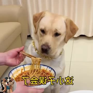 Hey, what are you eating Gluttony 😠😒😒