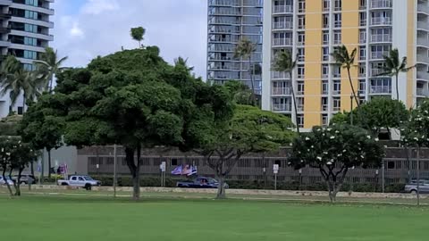 Trump Caravan Ala Moana 11/7/2020