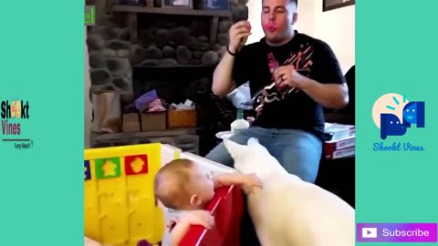 Funniest and adorable videos of babies playing with dogs #2