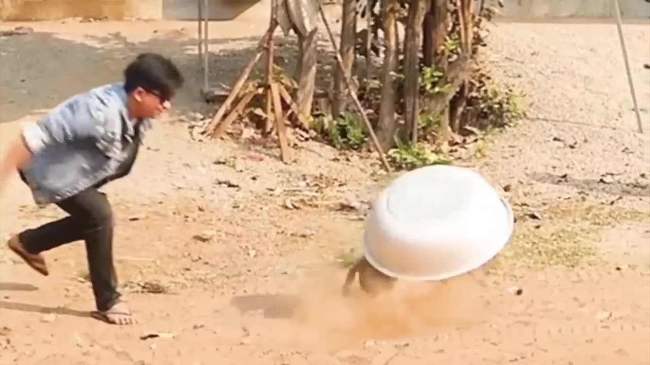 Viral funny video 😂 #tranding #viral #viralvideo