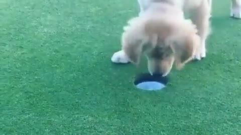 Hole in one!