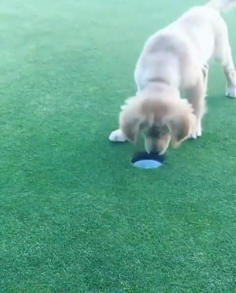 Hole in one!