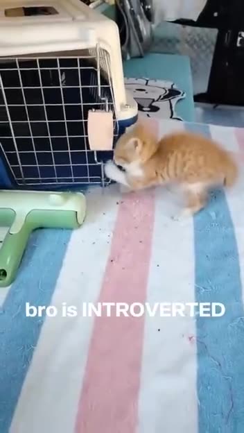 Some days I am like beam me up Scotty 😂