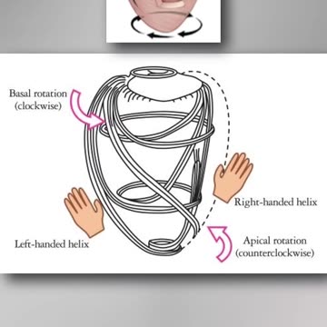 #video #viral #facts #usefull video #knowledge