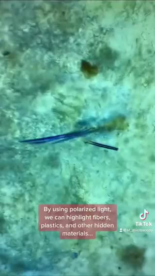 Plastic in McDonald's Chicken Nuggets?