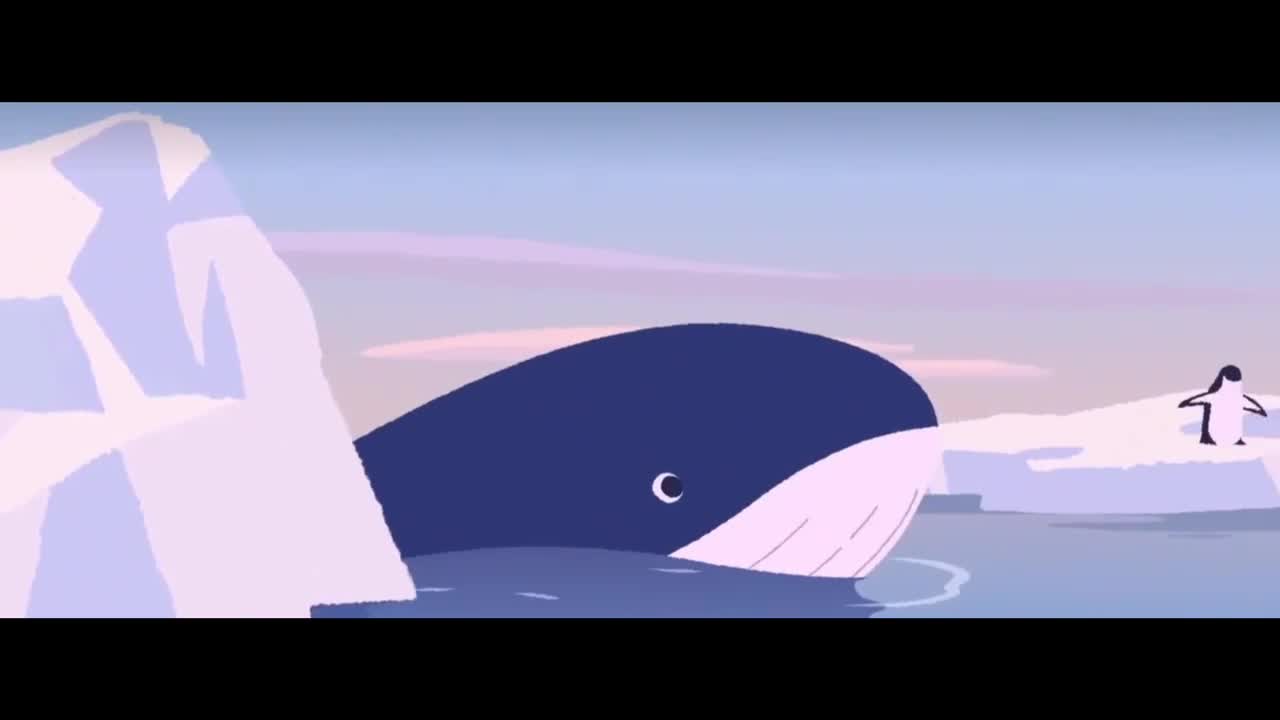 Fresh and healing ocean story animation Penguin and whale Thought-provoking ending