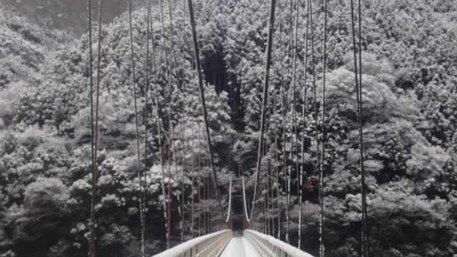 Suspension bridge in the snowy mountains