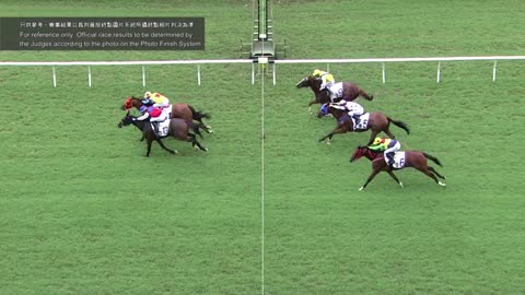 Horse_Race_2022060502_Chinese