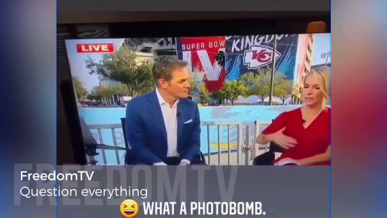 Question everything always