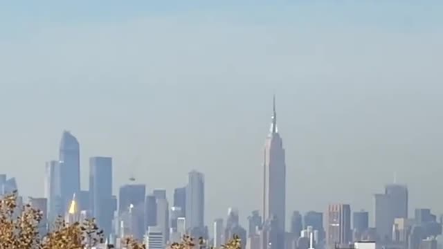 Even the birds are celebrating || huge american moment.