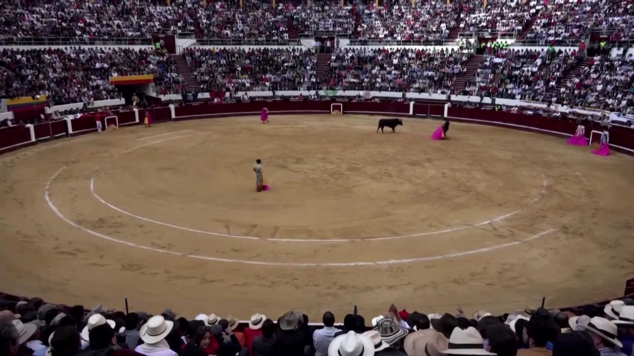 Colombia bans bullfighting after years of dispute