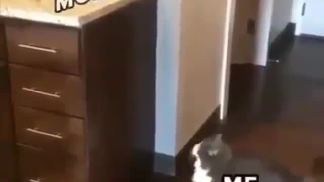 Real life facts (motivation)