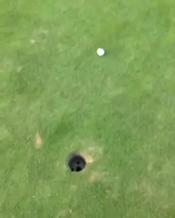 .When Your Friends Shooting For His First Eagle...